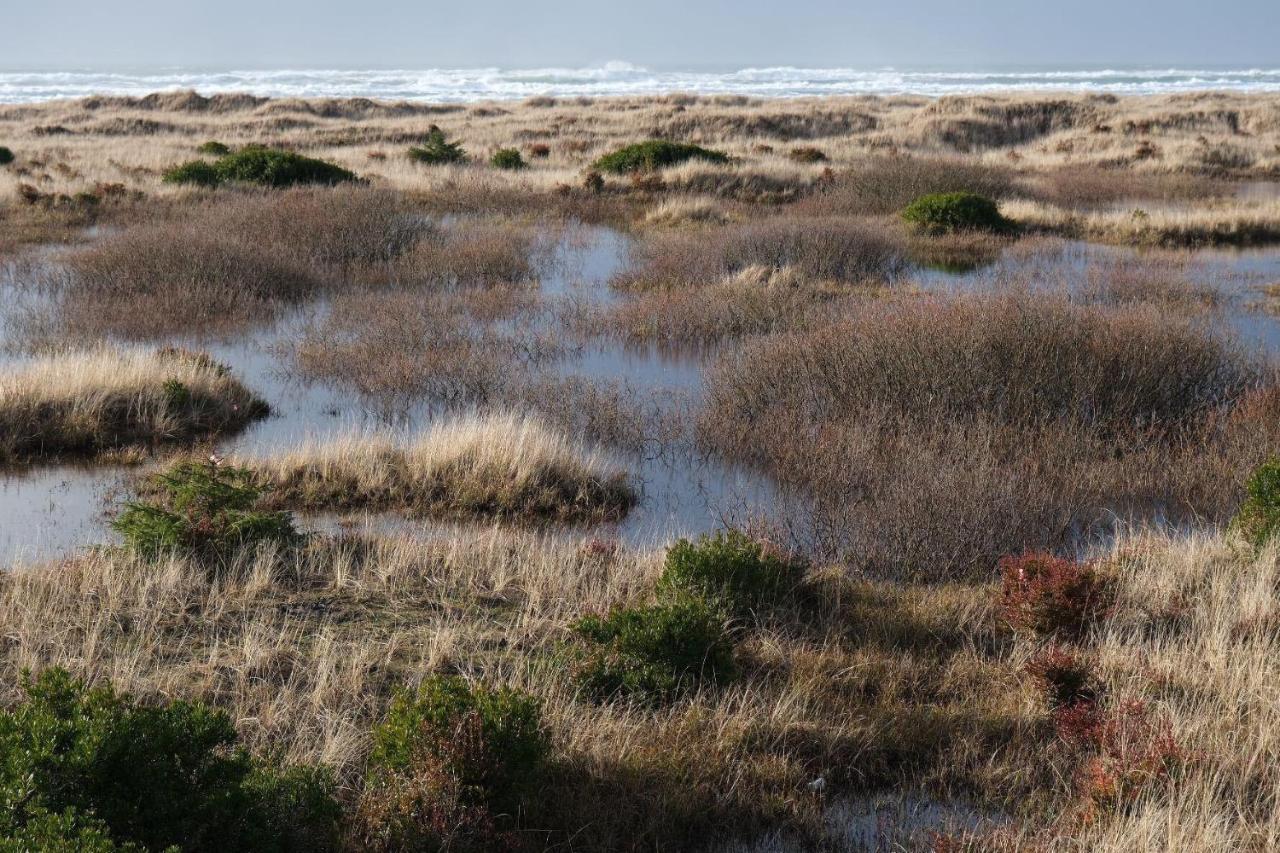 Tidal House #10 - Ocean Shores Chalet מראה חיצוני תמונה
