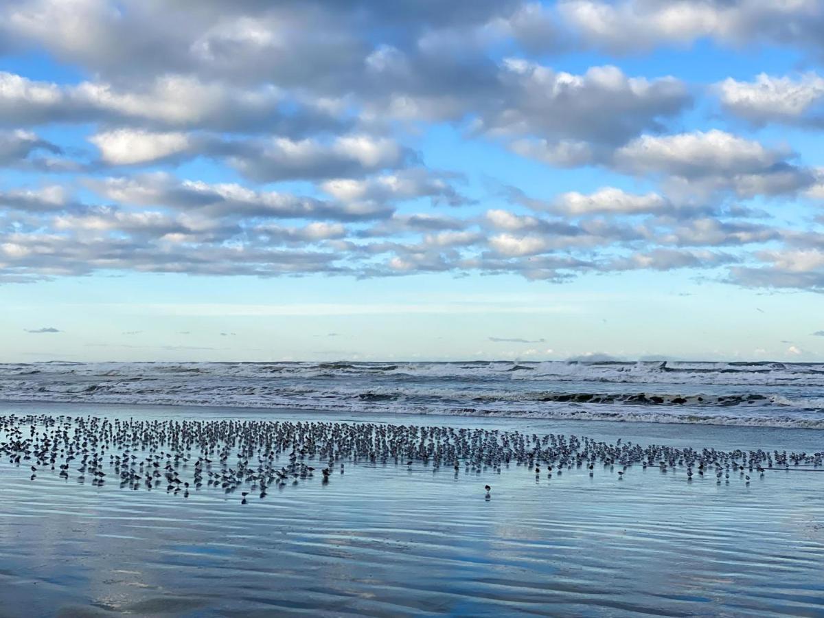 Tidal House #10 - Ocean Shores Chalet מראה חיצוני תמונה